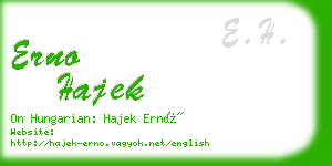 erno hajek business card